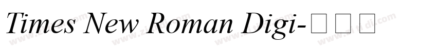 Times New Roman Digi字体转换